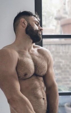 cozu325: beardburnme2:   A.hfmnn instagram    I4617-Andre Hofmann 💕 