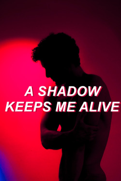 hearturs:  a shadow keeps me alive  and that shadow is you 