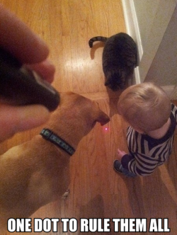 Niknak79:  The Power Of The Mighty Dot 