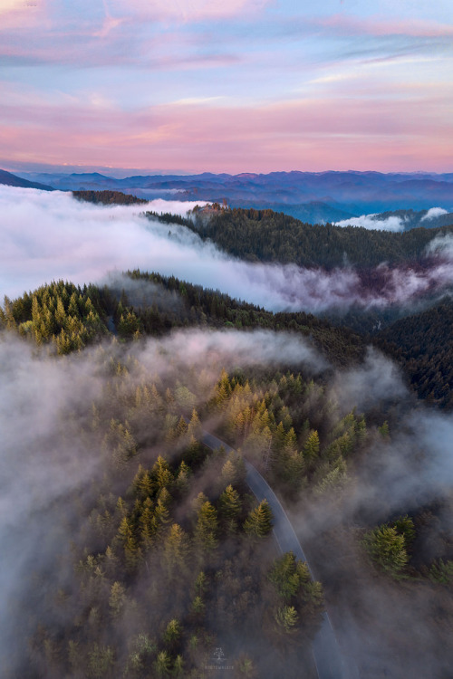 satakentia:Humboldt HeavenRedwood National Park, California, USAby Matt Walker