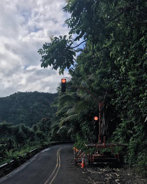 kellyhlms:  Stop. This jungle traffic is serious. ✋ Hana Highway// 5.17.2016 #vsco #vscocam #traffic