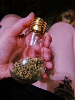 fastestslothalive:  light it up 💡reptrilia.tumblr.com