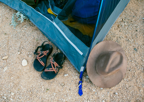 Waking up in the desert. 