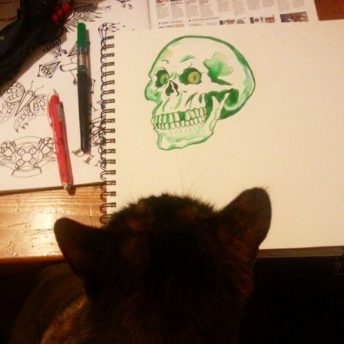 Mickey the cat, “Yess, skullsss, I approooove.” #mattbernson #cats #skulls #skull #artistsontumblr #tattoodesign