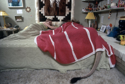 gameraboy:  Tippi Hedren, her daughter Melanie Griffith and Tippi’s pet Neil the lion in 1971. Photos by Michael Rougier for Life. 