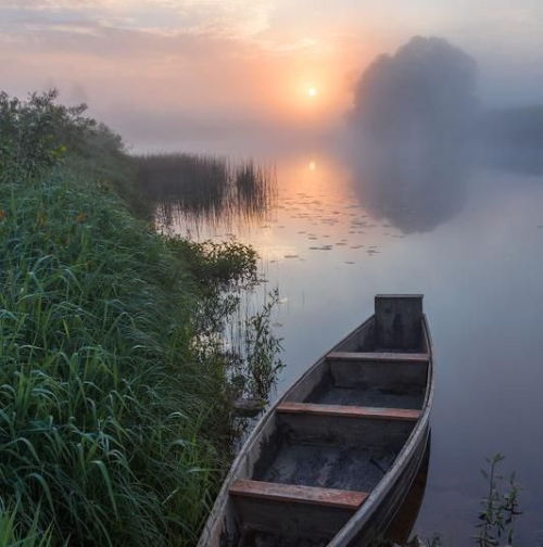 Oh to be 2 girls and their pet cat on a boat ride in the early morning fog