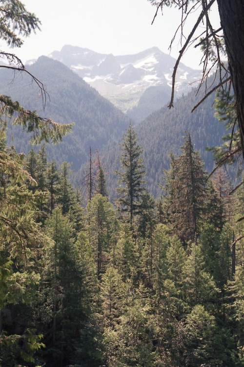 apassingbreeze: Squamish/Whistler area - BC Canada pentax k1000, fujicolor 200iso film