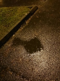 Fish shaped puddle 