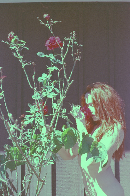 dcci:Taking Time to Smell The RosesWith Nina Covington Nashville, TN |  October 2016Images shot by m