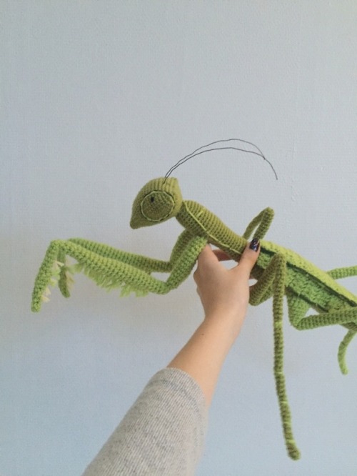 safetea: this praying mantis got me into art school 🍃✨ <3 <3 <3