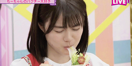 Coriander vs. Ikuchan: Round 1