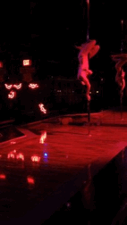 thestripperdiaries:  I GIFed myself. 