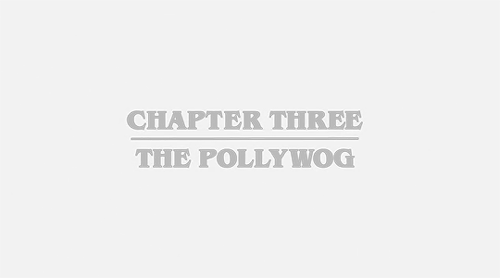 mazjkeen:Stranger Things Season 2 ➢ Chapter Three: The Pollywog