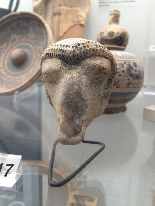 ancientgoatart:Terracotta ram’s head550-500 BCEMuseo archeologico regionale Antonio Salinas (P