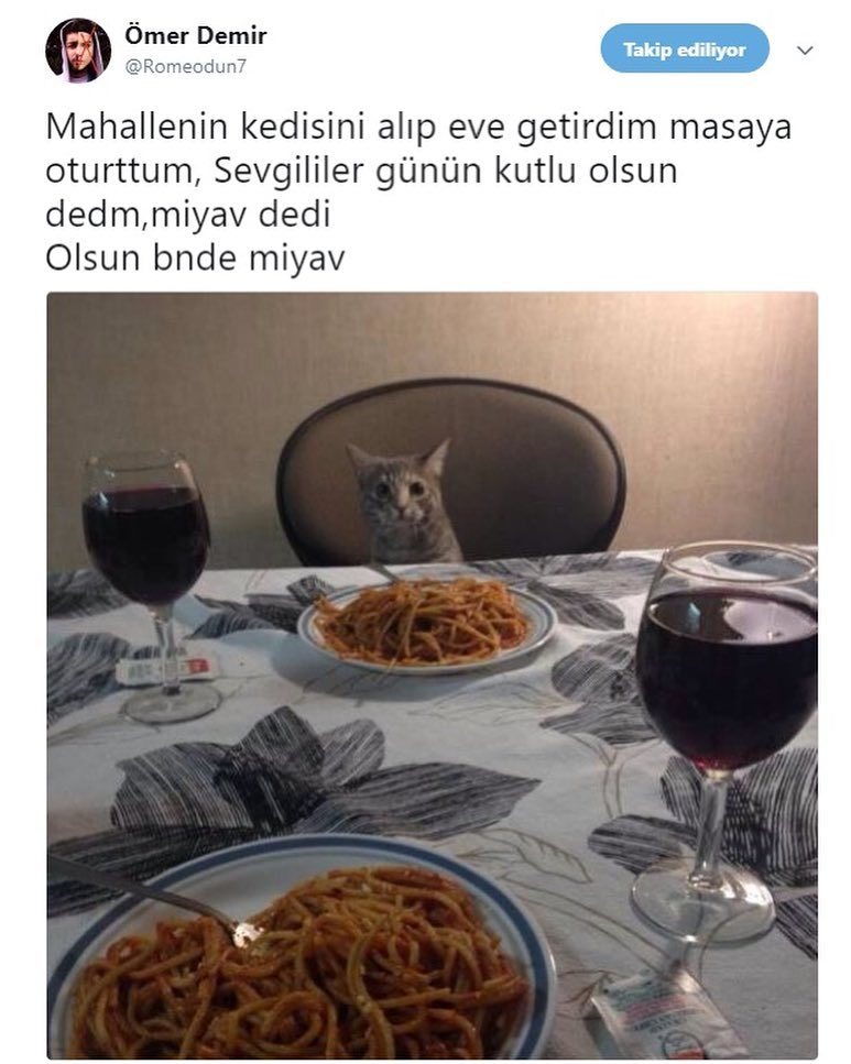 Mahallenin kedisini alıp...