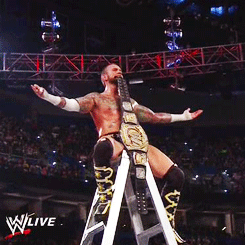 nerdyandbritish-deactivated2014:  CM Punk celebrates retaining the WWE Championship (WWE Raw 07-01-2013) 