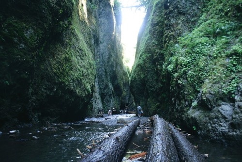 Oneonta Gorge in the Colombia River GorgeOregonJuly, 2017Website