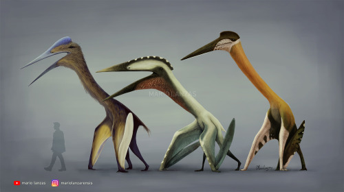 mariolanzas:GIGANTS OF THE CRETACEOUS SKIESQuetzalcoatlus, Haztegopteryx, Arambourgiania You can get