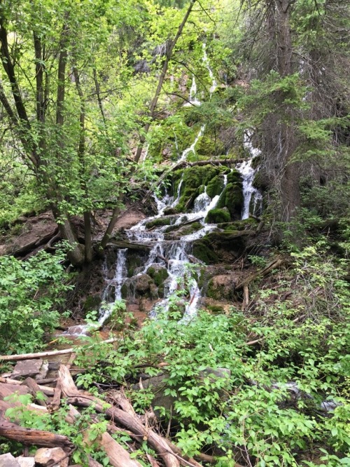 lilcrystalkitty:The hike up to Hanging Lake was magical ✨