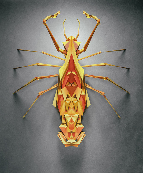 itscolossal:  Randomly Generated Polygonal Insects by Istvan Giordano for NeonMob  Stunning.