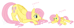 madame-fluttershy:  Fluttershy’s Plushie