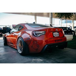 stancenation:  Wingless Bunny. Yes or No? #stancenation