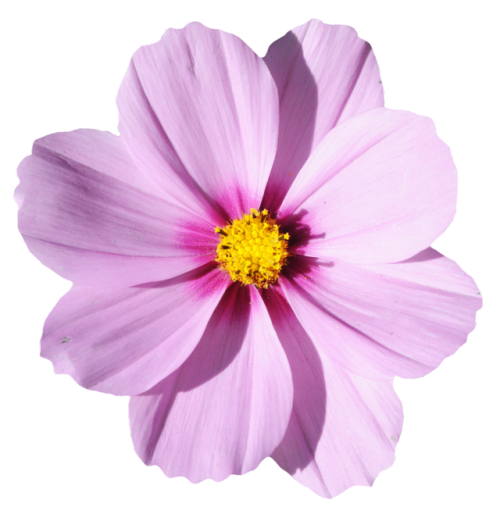 Blog image