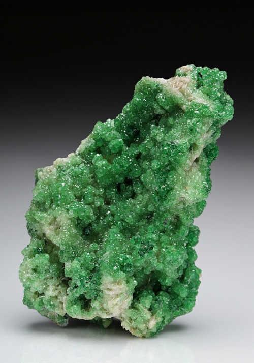 Chromium enriched Grossular with Diopside - Jeffrey Mine, Asbestos, Richmond Co., Quebec, Canada