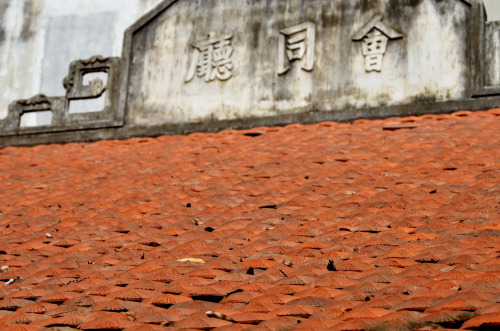 The roof of a building at the Quan Thanh Temple, Hanoi, Vietnam. 