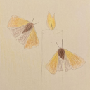 lesbianpandasworld - Queer Moth