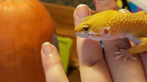 Some pictures of Corrine!