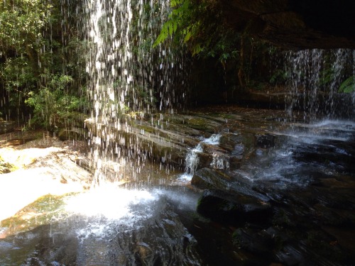 Visited Somersby Falls the other day and it was lovely!