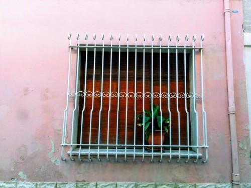 [12.01.2018 - Avignon, France] Fancy cage for potted plant.