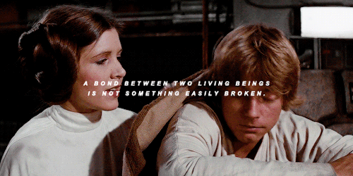 skywalkex:    — Star Wars: Knights of the Old Republic II