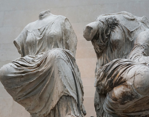 darkmacademia:the parthenon sculptures / british museum, london