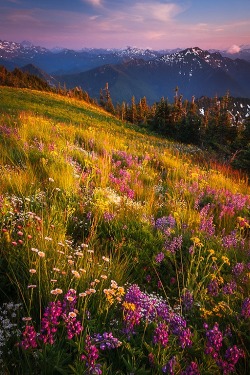 ponderation:  The Spectrum by Bryan Swan 