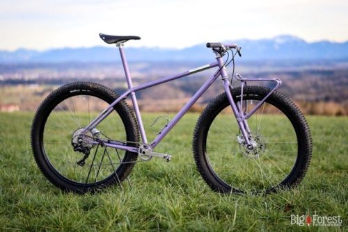 strange-measure: Big Forest Frameworks 29+ MTB RAHMENBAUKURS