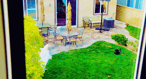 diaryofatvaddict:  If you are in need of a really good laugh watch Santa Clarita