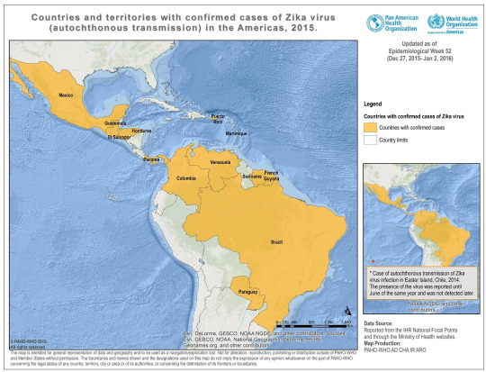 Porn photo Zika Virus Could Infect 'Thousands' of Pregnant