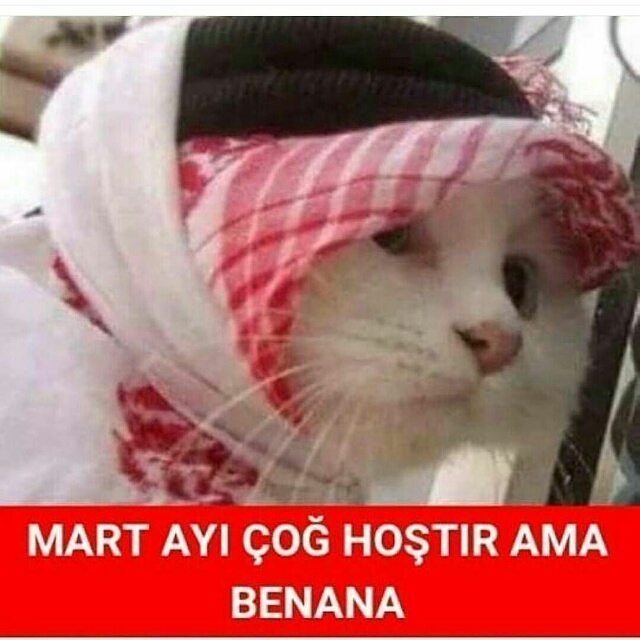 MART AYI ÇOĞ HOŞTIR AMA
BENANA