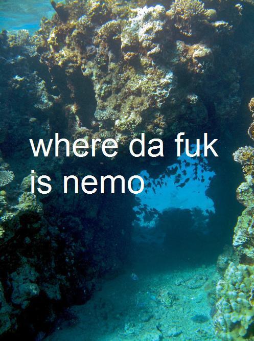 silly-luv:  ♡ find your best posts on my blog ♡