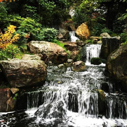 #kioto #kiotogarden #london #hollandpark http://goo.gl/vr20rss #gntstyle