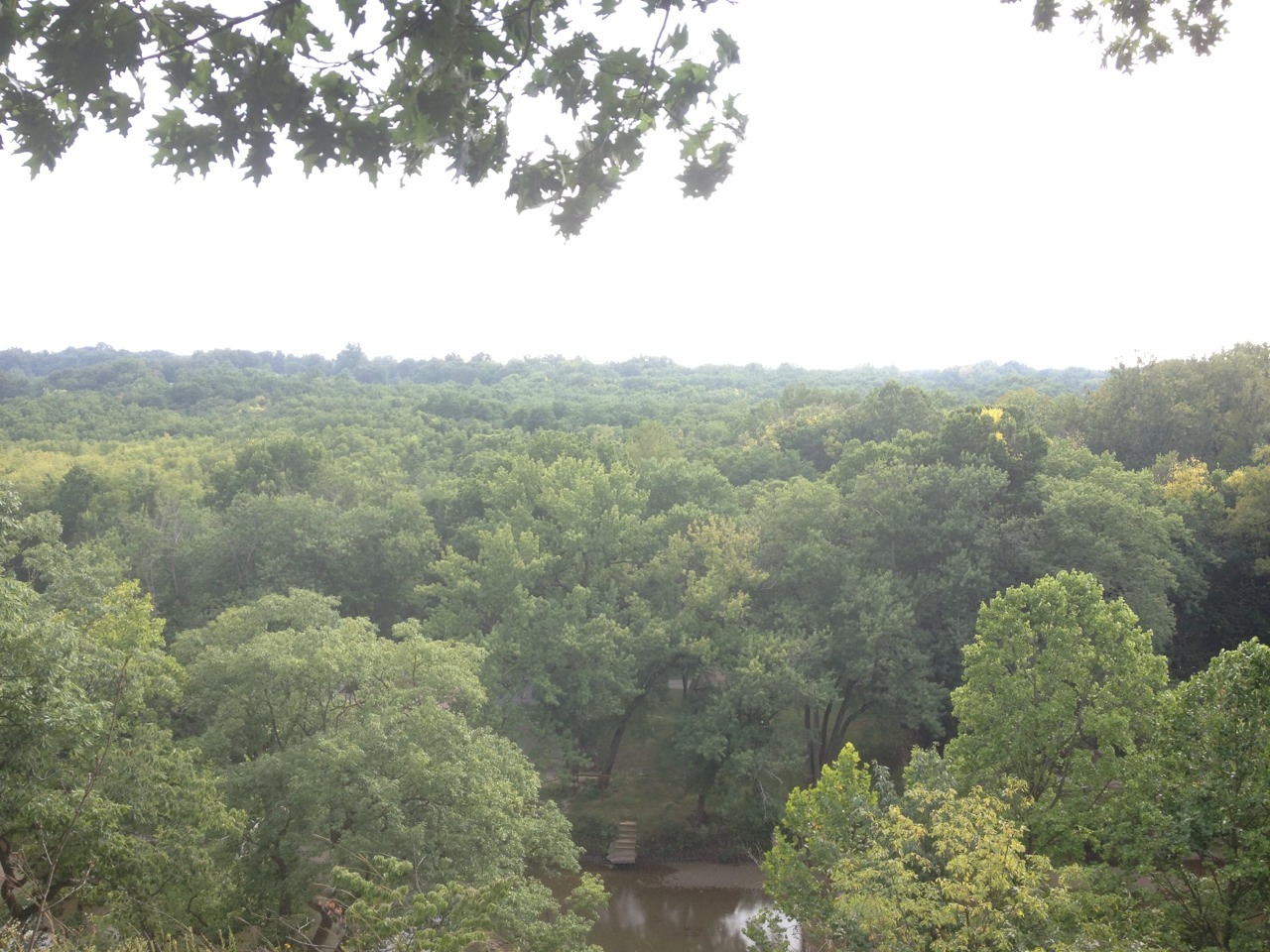 found botanical gardens (✿◠‿◠)