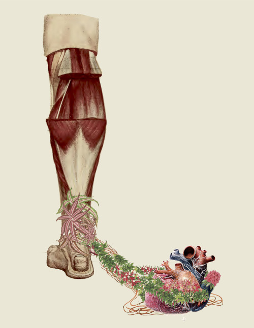 exhibition-ism: Incredible anatomical collage works from Travis Bedel - follow him on Tumblr HERE