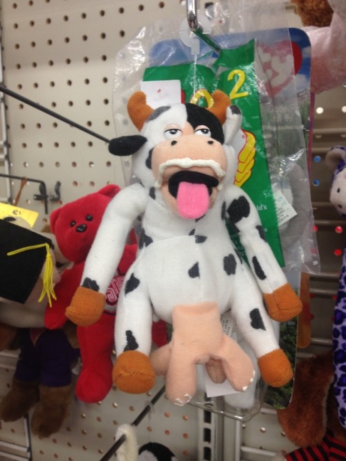 shiftythrifting: So I think I found the worst stuffed animal…