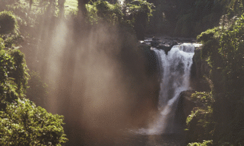 cuiledhwenofthegreenforest:  (via GIPHY)