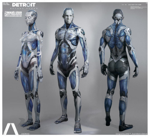 ANDROID ANATOMY