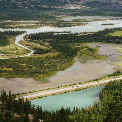 softwaring:Jasper National Park, AB. Taylor Michael Burk