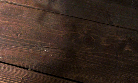 tumblr_pygjlpdlZH1uw43cfo6_r2_540.gif