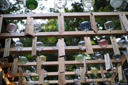 ileftmyheartintokyo:   	川越氷川神社 by Matryokeshi Chan    	Via Flickr: 	Furin (Japanese wind bell) Festival in Kawagoe Hikawa Jinja, Japan                                 